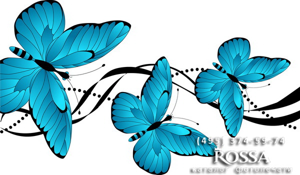  Butterflies 148